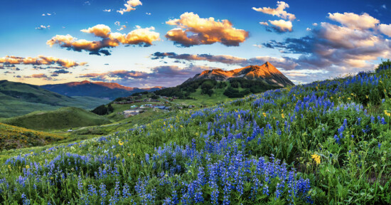 A vibrant hillside covered in purple and yellow wildflowers overlooks a distant mountain peak bathed in golden sunlight, beneath a sky filled with colorful clouds at sunrise or sunset.