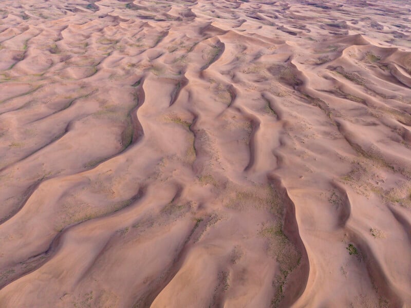 Aerial view of smooth, wavy sand dunes stretching across a vast desert landscape with soft ridges and subtle patches of sparse vegetation.