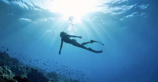 A person wearing fins swims underwater above a coral reef, surrounded by small fish, with sunlight streaming down through the clear blue water.