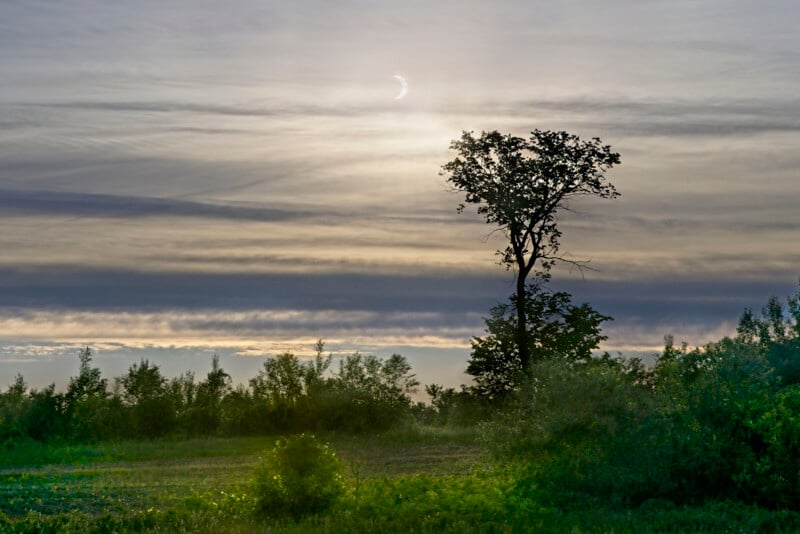 A crescent sun is partially obscured by clouds during a solar eclipse over a green field, with tall trees and shrubs silhouetted against the dramatic sky.