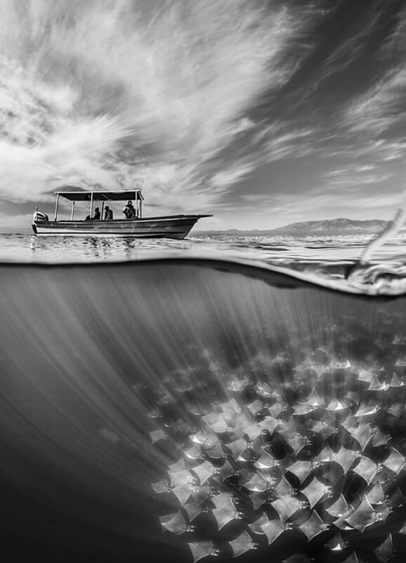 A black and white split-shot photo of a boat with people on the surface and a large school of rays swimming underwater beneath it, with dramatic clouds in the sky.