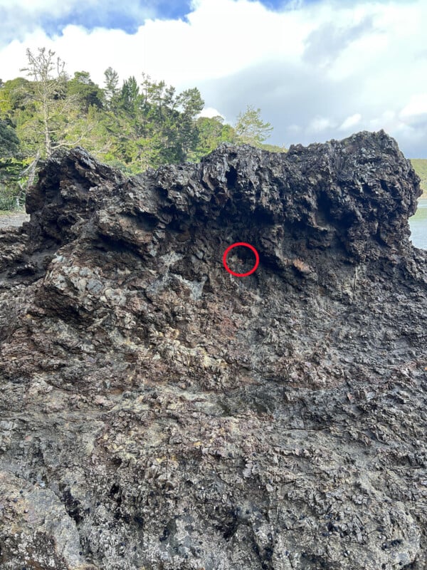 Large, rugged dark rock formation with green trees and cloudy sky in the background. A red circle highlights a small, camouflaged creature or object in a cavity on the rock’s surface near the center.