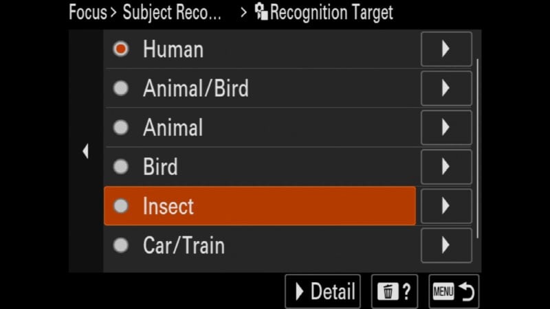 Camera screen menu showing subject recognition options. “Insect” is highlighted in orange, with other options including Human, Animal/Bird, Animal, Bird, and Car/Train. Navigation icons and detail/help options are at the bottom.