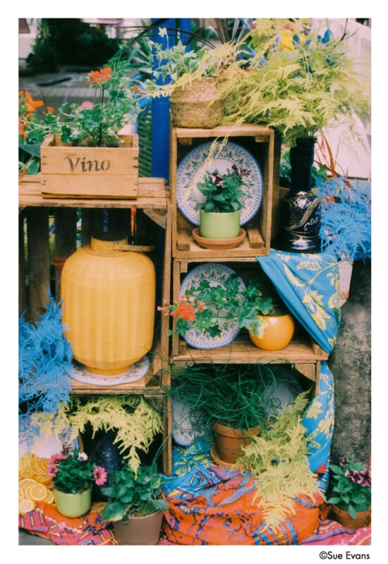 A colorful outdoor display featuring wooden crates, potted plants, blue-patterned plates, a large yellow jug, and bright fabrics, arranged decoratively with lush greenery and vibrant flowers.