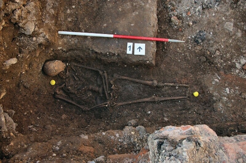 An excavated human skeleton lies in a shallow grave at an archaeological site, with a measuring rod and two yellow markers placed nearby, and a numbered scale indicating the orientation.
