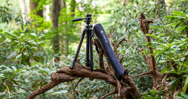A black camera tripod and its gray carrying case rest on a thick, gnarled tree branch surrounded by lush green foliage in a forest setting.