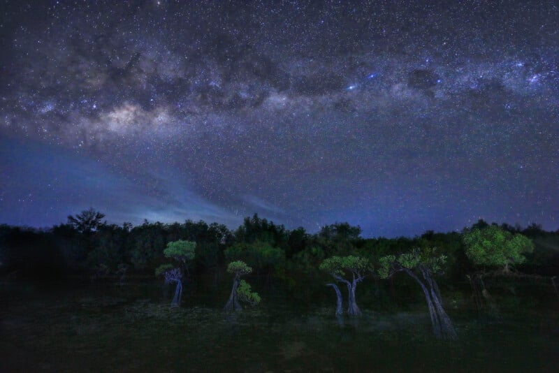 A night sky filled with stars and the Milky Way stretches above a dark landscape with silhouetted trees and faintly illuminated green foliage.