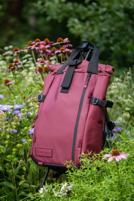 A maroon backpack with black straps sits upright among blooming wildflowers and green foliage, with a blurred background of more plants and trees.
