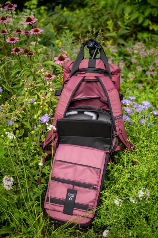 A maroon backpack with multiple open compartments is placed upright among green plants and purple and pink wildflowers, revealing a camera and organized accessory pockets inside.