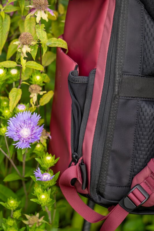 A close-up of a black and red backpack next to green leaves and blooming purple flowers in an outdoor setting.