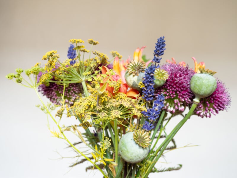 A colorful bouquet of wildflowers and seed pods, featuring yellow dill flowers, purple alliums, blue lavender, orange blossoms, and green poppy pods, with a neutral background.