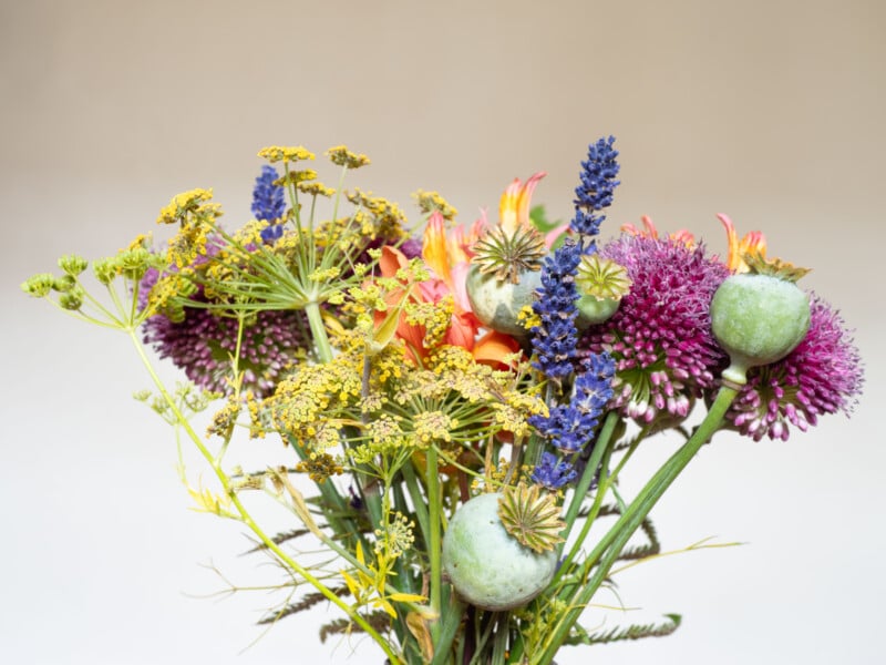 A colorful bouquet of wildflowers and seed pods, including purple alliums, yellow dill flowers, blue lavender, orange blooms, and green poppy pods, arranged against a plain light background.