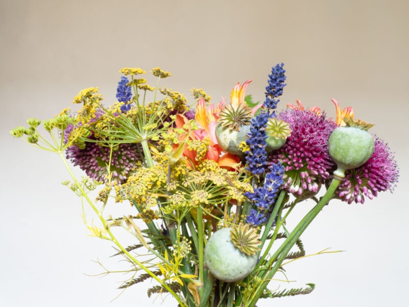 A colorful bouquet featuring yellow dill flowers, purple alliums, blue lavender, orange-red blossoms, and green poppy pods against a plain, light background.
