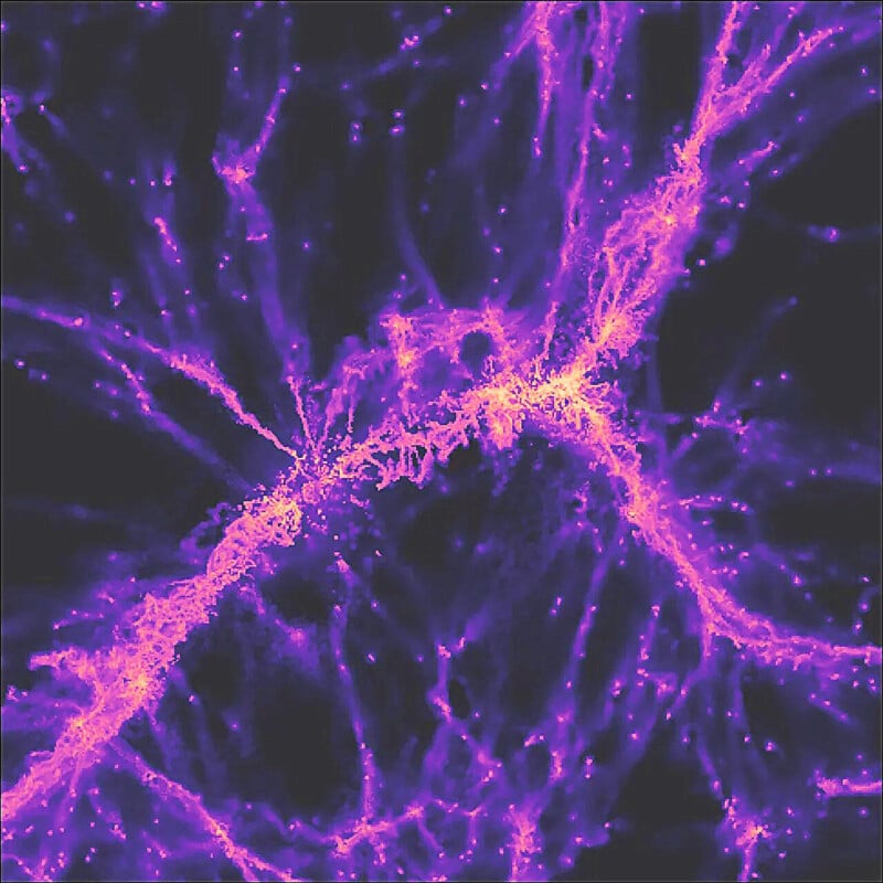 A bright, glowing network of purple and yellow filaments spreads across a dark background, resembling cosmic web structures or neural networks, with luminous clusters at several intersections.