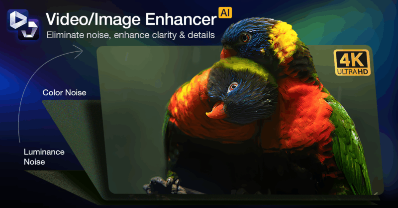 A before and after image showing a noisy photo being cleaned up by Aiarty software.
