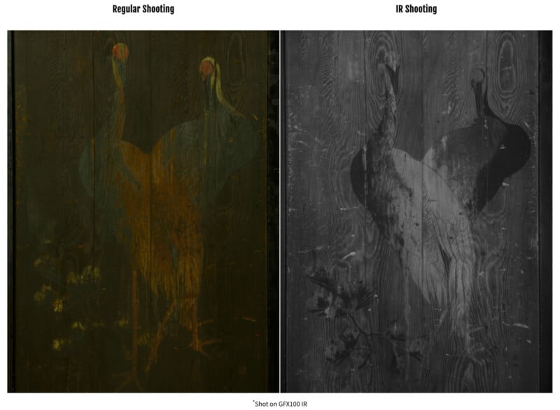 Side-by-side images compare a faded painting of two standing birds on wood: the left in dim colors (regular shooting), and the right showing clearer bird outlines in grayscale (IR shooting).