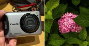 Left: A hand holding a silver Canon PowerShot A490 camera. Right: A cluster of pink hydrangea flowers surrounded by green leaves.