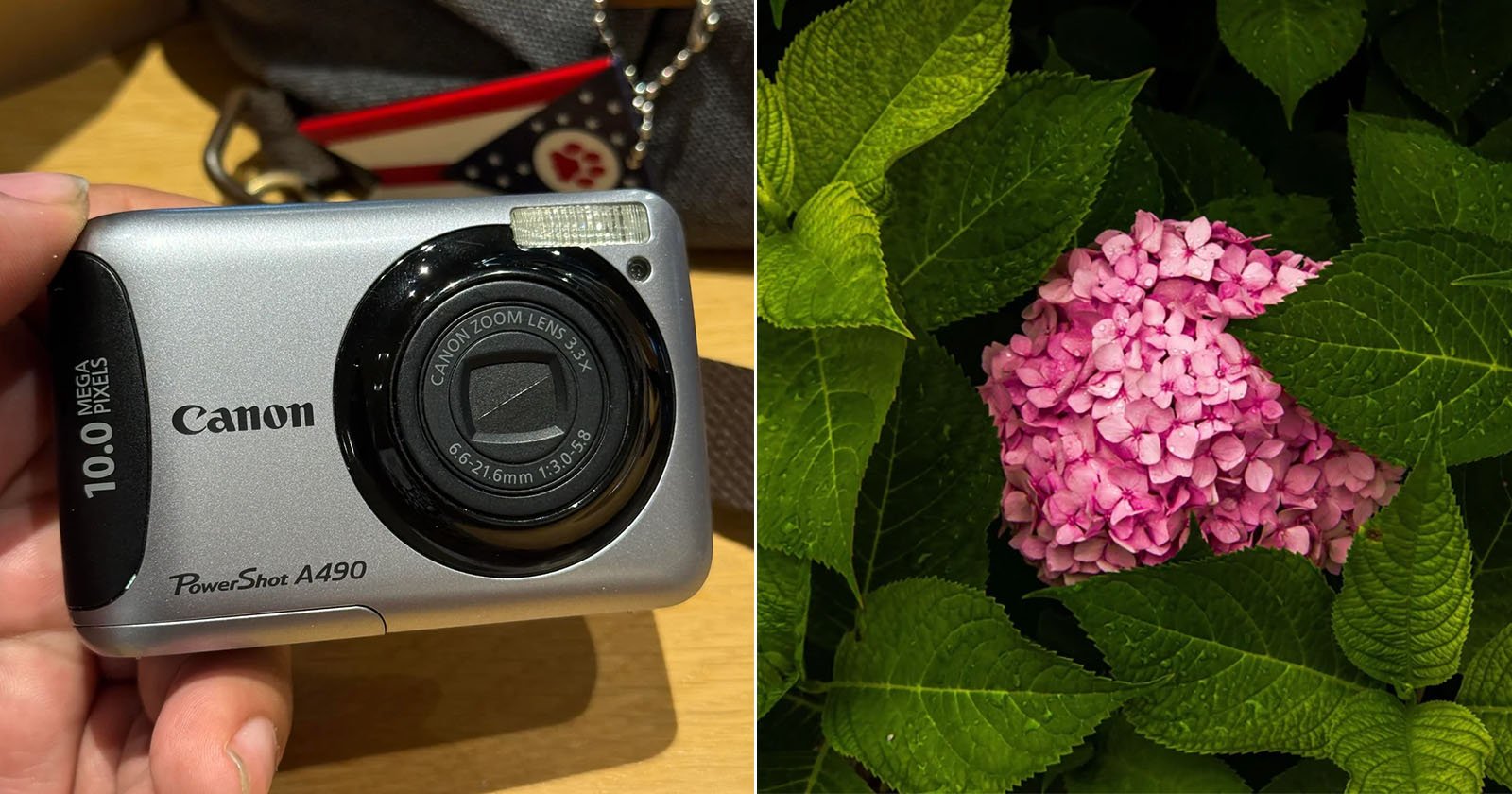 Photographer’s Hacked Vintage Digital Point-and-Shoot Camera Is Surprisingly Awesome