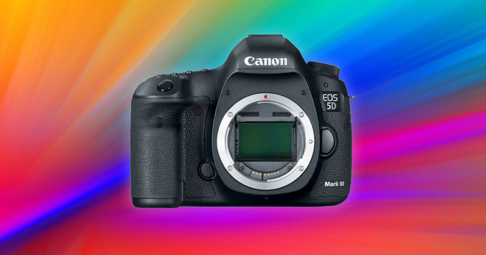 The Most Popular Camera and Lens Rentals of the Last 19 Years