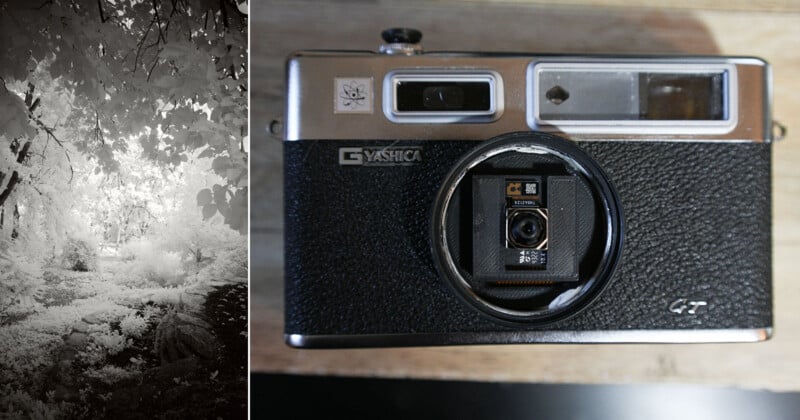Split image: On the left, an infrared photo shows a bright, leafy forest path. On the right, a vintage Yashica GT camera with a rangefinder lens is placed on a wooden surface.