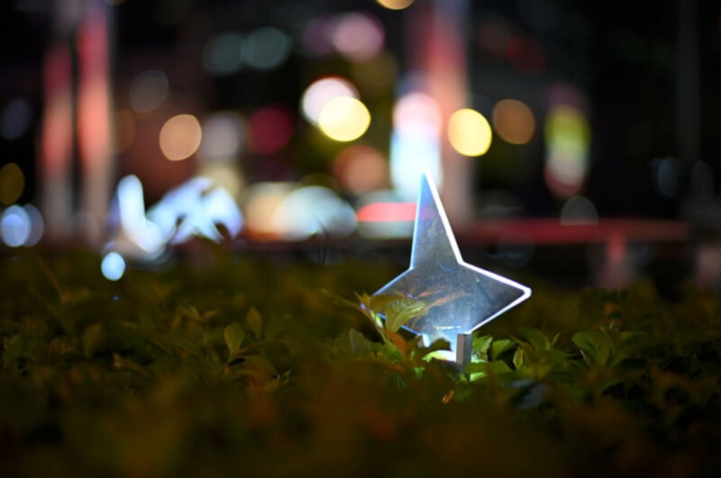 A glowing star-shaped light stands among green leaves, with colorful blurred city lights creating a bokeh effect in the dark background.