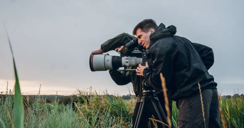 A man in a black jacket uses a large professional video camera on a tripod in a grassy outdoor setting, focused on filming nature at sunrise or sunset.