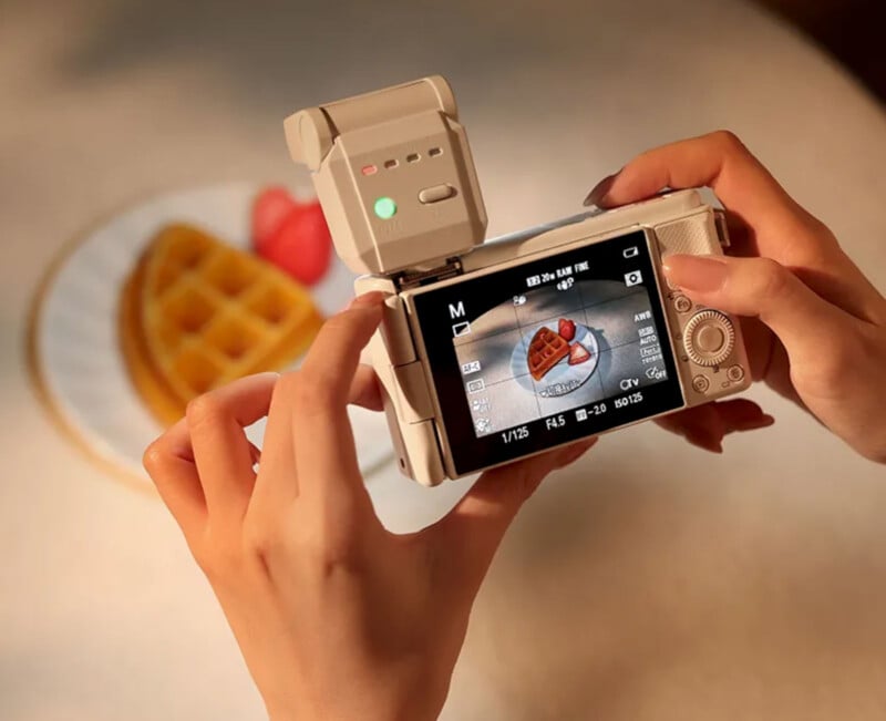 A person holds a digital camera, focusing on a plate with a waffle and strawberries. The camera’s screen shows the waffle in sharp detail, while the actual food is blurred in the background.
