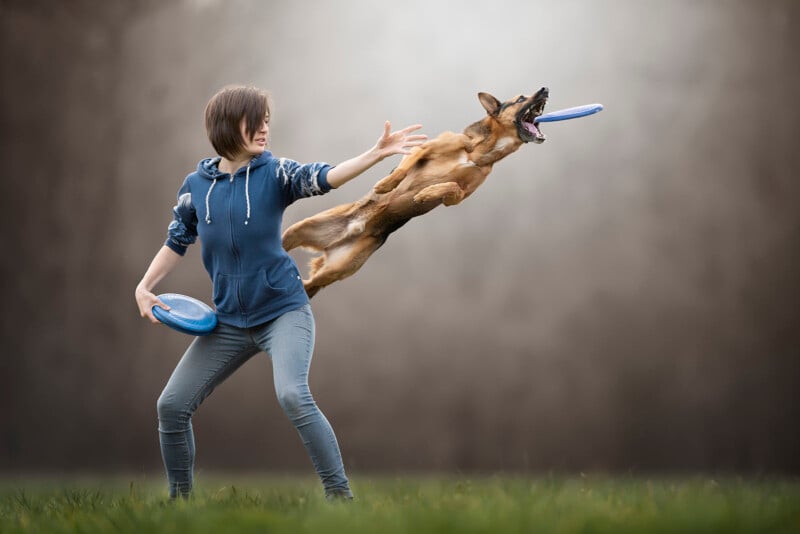 A person in a blue hoodie throws a frisbee while a brown dog leaps high in the air, catching another frisbee in its mouth. The background is blurred, emphasizing their action and focus.