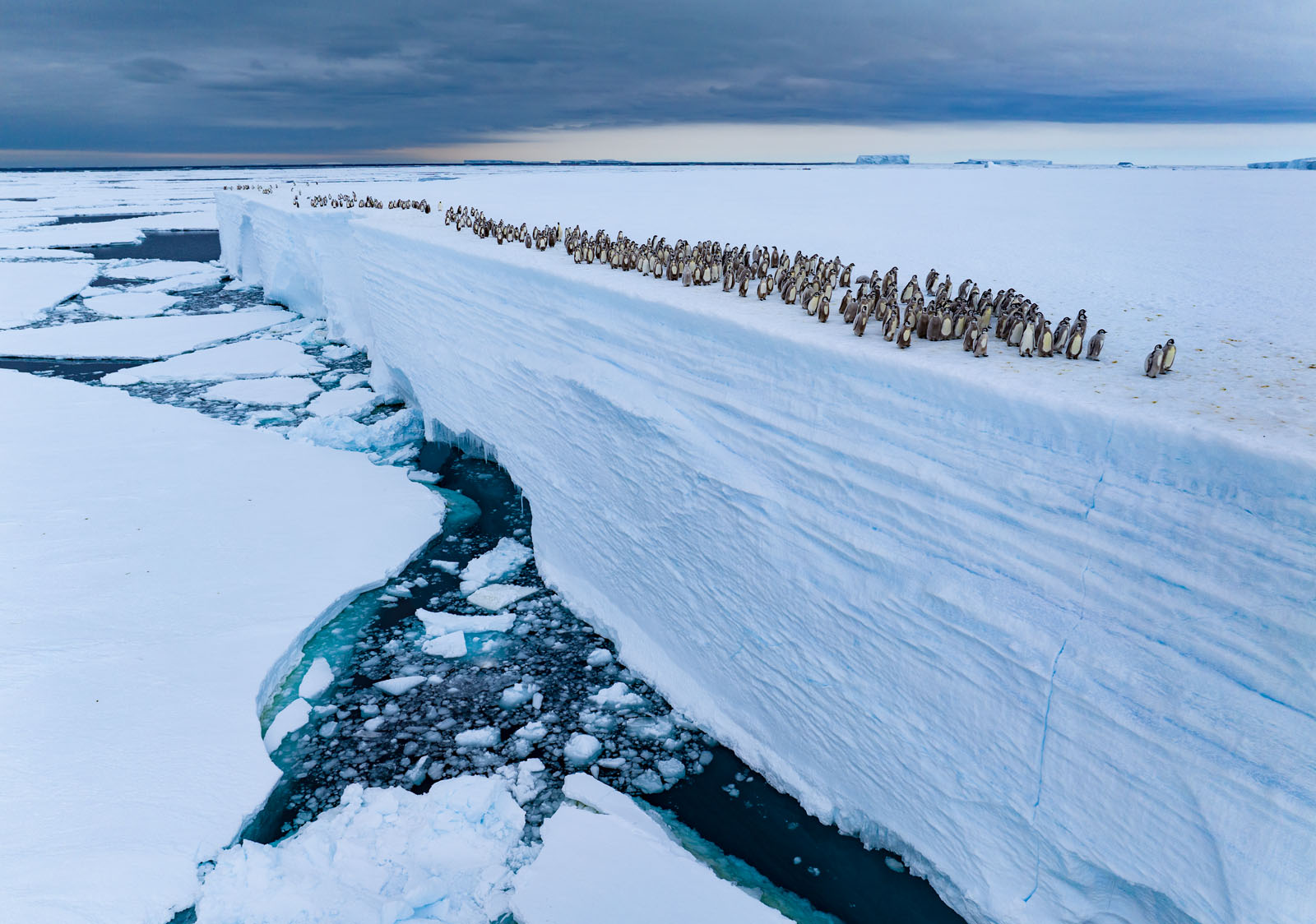 15 Breathtaking Photos From the 61st Wildlife Photographer of the Year ...