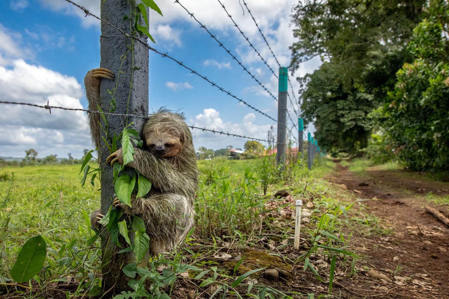 15 Breathtaking Photos From the 61st Wildlife Photographer of the Year ...