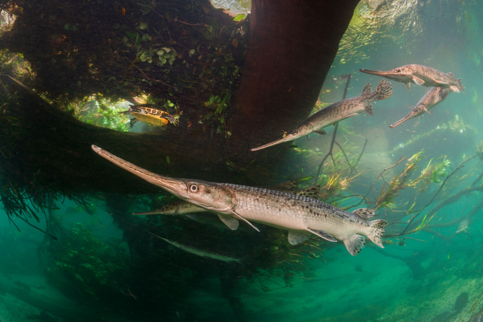 15 Breathtaking Photos From the 61st Wildlife Photographer of the Year ...