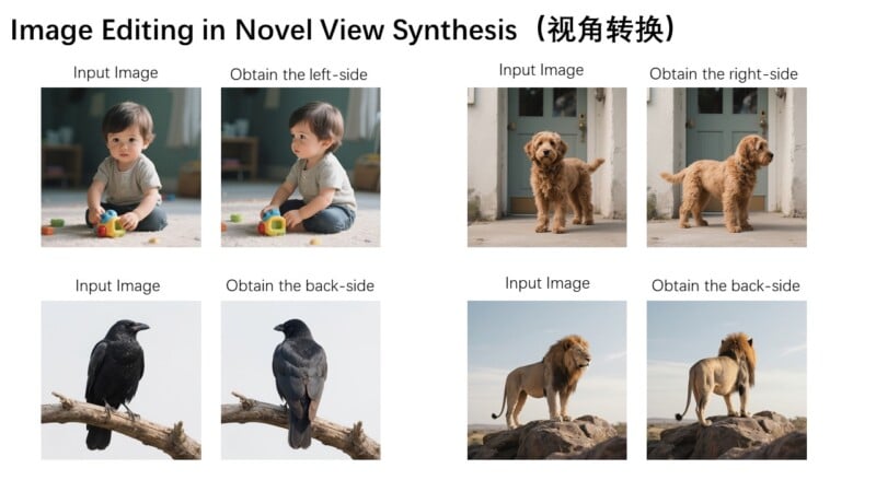 A collage shows input images of a baby, a dog, a crow, and a lion, each paired with an edited image displaying a different angle: left, right, or back views. Title: “Image Editing in Novel View Synthesis.”.