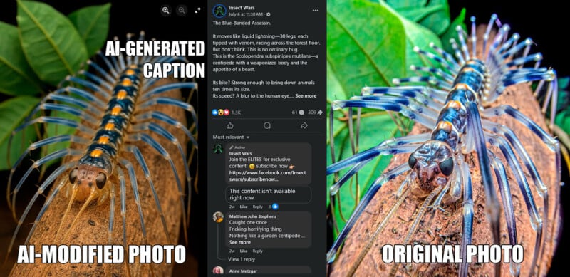 Side-by-side comparison of a centipede: the left image is AI-modified with exaggerated blue and yellow legs and labeled "AI-GENERATED CAPTION" and "AI-MODIFIED PHOTO;" the right is the unaltered original.