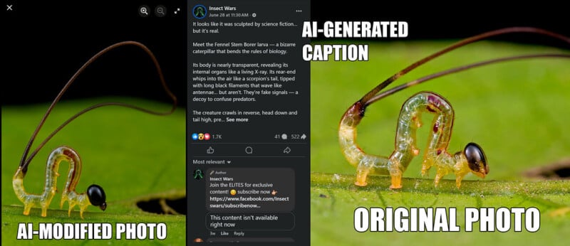 Side-by-side comparison of two photos showing a caterpillar and a beetle on a green leaf; one is labeled "AI-MODIFIED PHOTO" and the other "ORIGINAL PHOTO." The modified version appears altered.