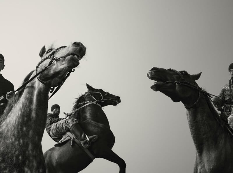 Three riders on galloping horses, photographed from a low angle. The horses' heads are raised and their mouths open, with two riders partially visible against a clear sky in black and white.