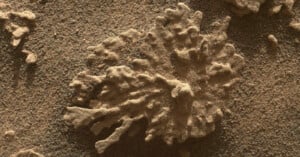 A close-up image of a textured, irregularly shaped rock formation on a sandy, grainy surface, resembling a splatter or coral-like structure, captured on the surface of Mars.