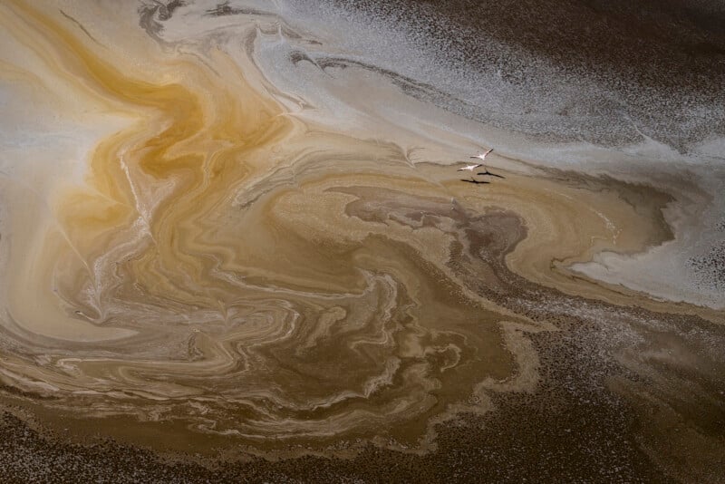 Aerial view of two flamingos flying over a swirling, marbled expanse of brown, yellow, and cream-colored patterns on the surface of water or wetland.