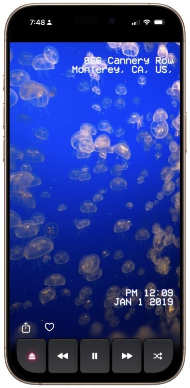 A smartphone screen displays a video of many jellyfish swimming in blue water, with coordinates “866 Cannery Row, Monterey, CA, US” and a timestamp reading “PM 12:09, JAN 1 2019.” Playback and share controls are visible below.
