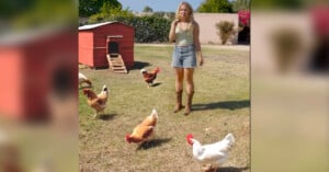 A woman in a green crop top, denim shorts, and cowboy boots stands on grass near several chickens and a red chicken coop on a sunny day.