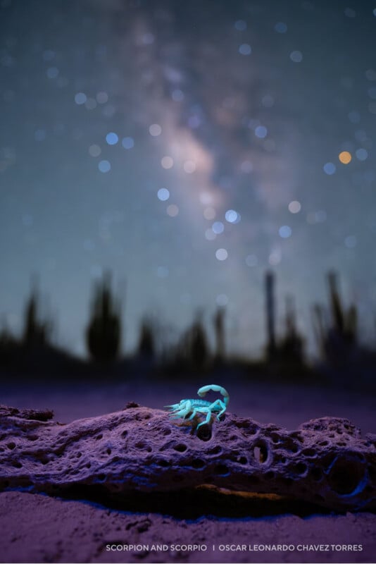 A glowing blue scorpion sits on a rock under a starry night sky with a blurred Milky Way and silhouettes of cacti in the background.