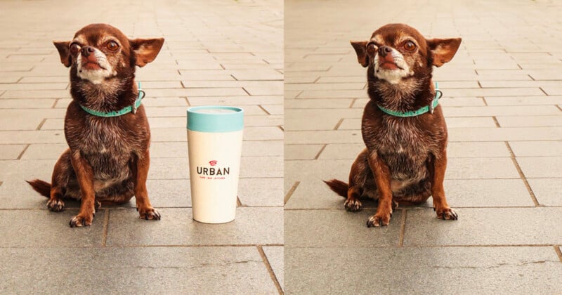 A small brown dog with a turquoise collar sits on gray pavement. In the left image, a white travel mug with a blue lid labeled "Urban" is beside the dog; in the right image, the mug is missing.