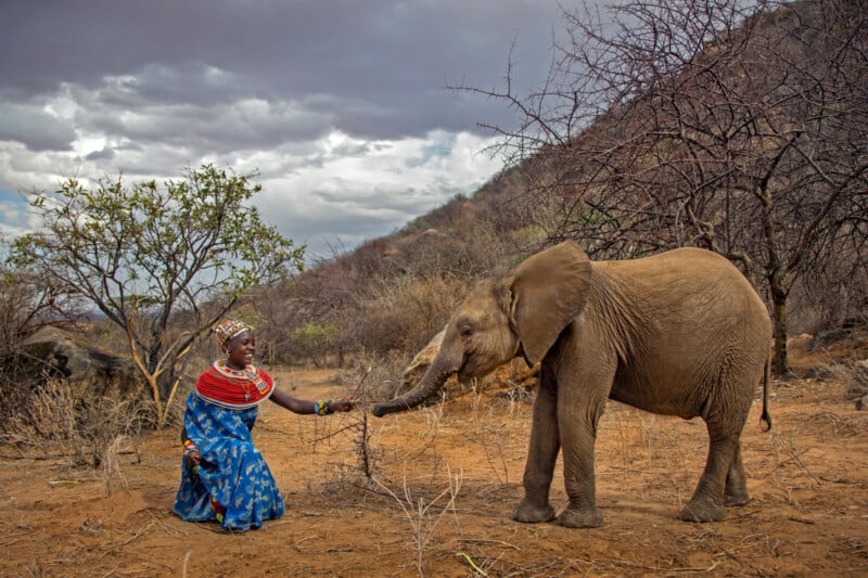 A woman in traditional African clothing kneels in dry, hilly terrain, reaching out to a young elephant amid sparse trees under a cloudy sky.