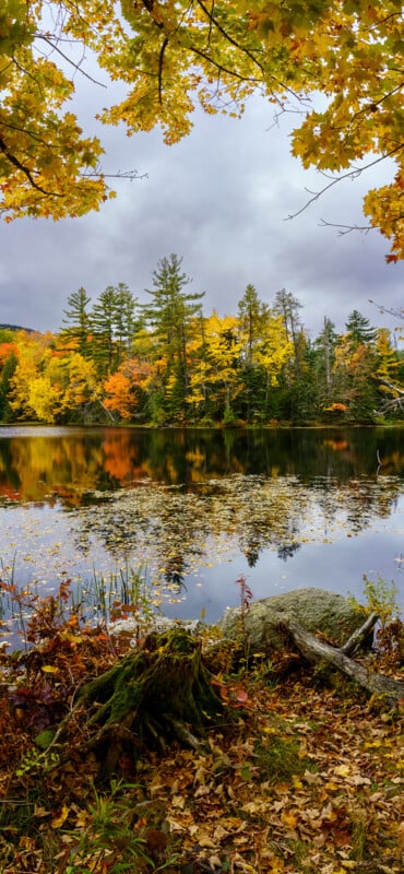 A serene lake reflects vibrant autumn trees with yellow, orange, and green leaves. The cloudy sky and fallen leaves on the ground create a peaceful, picturesque fall landscape.