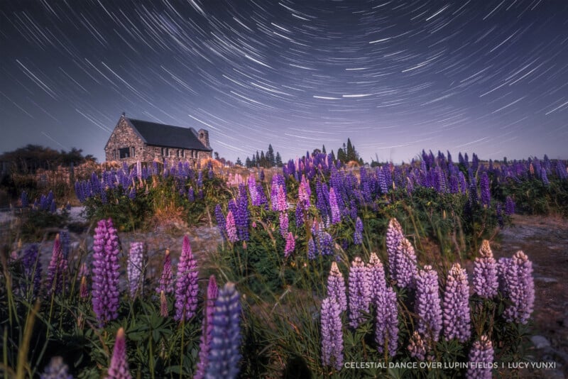 A stone church stands among blooming purple lupine flowers under a night sky filled with circular star trails, showing the movement of stars over time.
