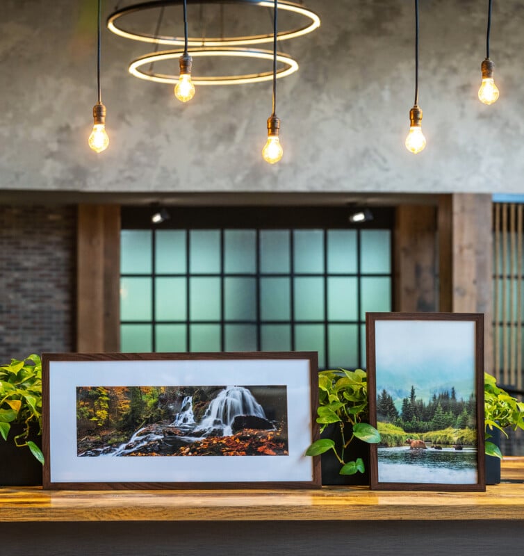 Dos fotos de paisaje enmarcadas sentadas en mesa de madera con plantas verdes bajo bombillas expuestas colgantes. El fondo tiene un interior de estilo industrial moderno con grandes ventanas.