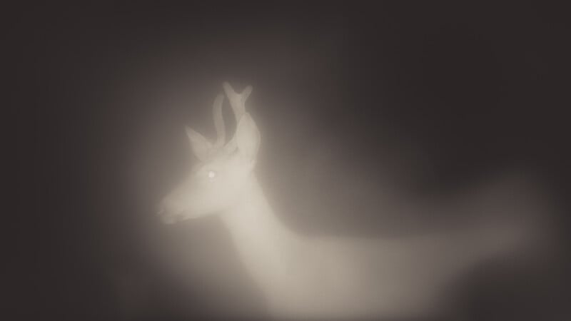 A deer with antlers is seen in a blurry, monochrome night vision image. Its glowing eyes and faint outline stand out against the dark background.