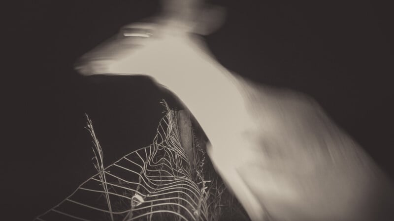 A blurry, ghostly image of a deer jumping over a bent wire fence at night, captured in black and white with motion blur and glowing eyes.
