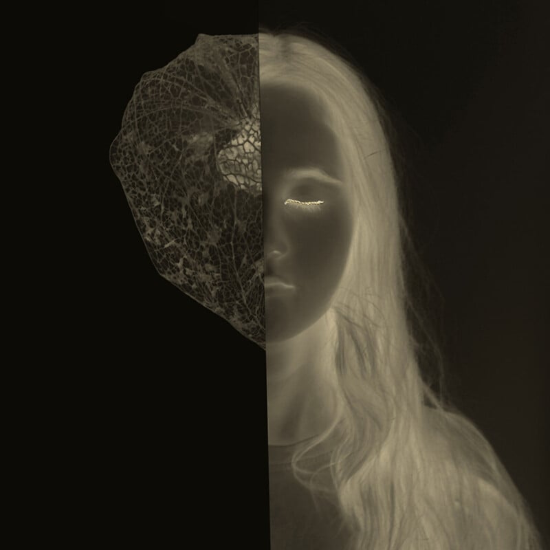 A negative image of a woman with long hair, split down the center; the left half of her face is replaced with a textured, leaf-like structure against a dark background.