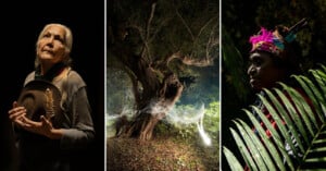 Three-panel image: left, an elderly woman holding a hat looks upward in dramatic lighting; center, a mystical forest scene with twisted trees and glowing webs; right, a person in colorful attire stands by lush green leaves in low light.