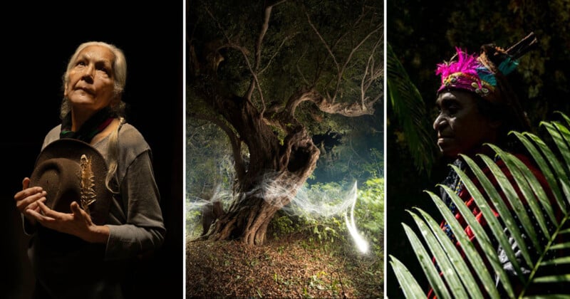 Three-panel image: left, an elderly woman holding a hat looks upward in dramatic lighting; center, a mystical forest scene with twisted trees and glowing webs; right, a person in colorful attire stands by lush green leaves in low light.